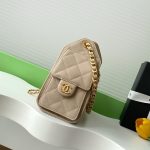 Chanel 25 Hobo Handbag Grained calfskin LB16670 (3)