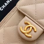 Chanel 25 Hobo Handbag Grained calfskin LB16670 (5)