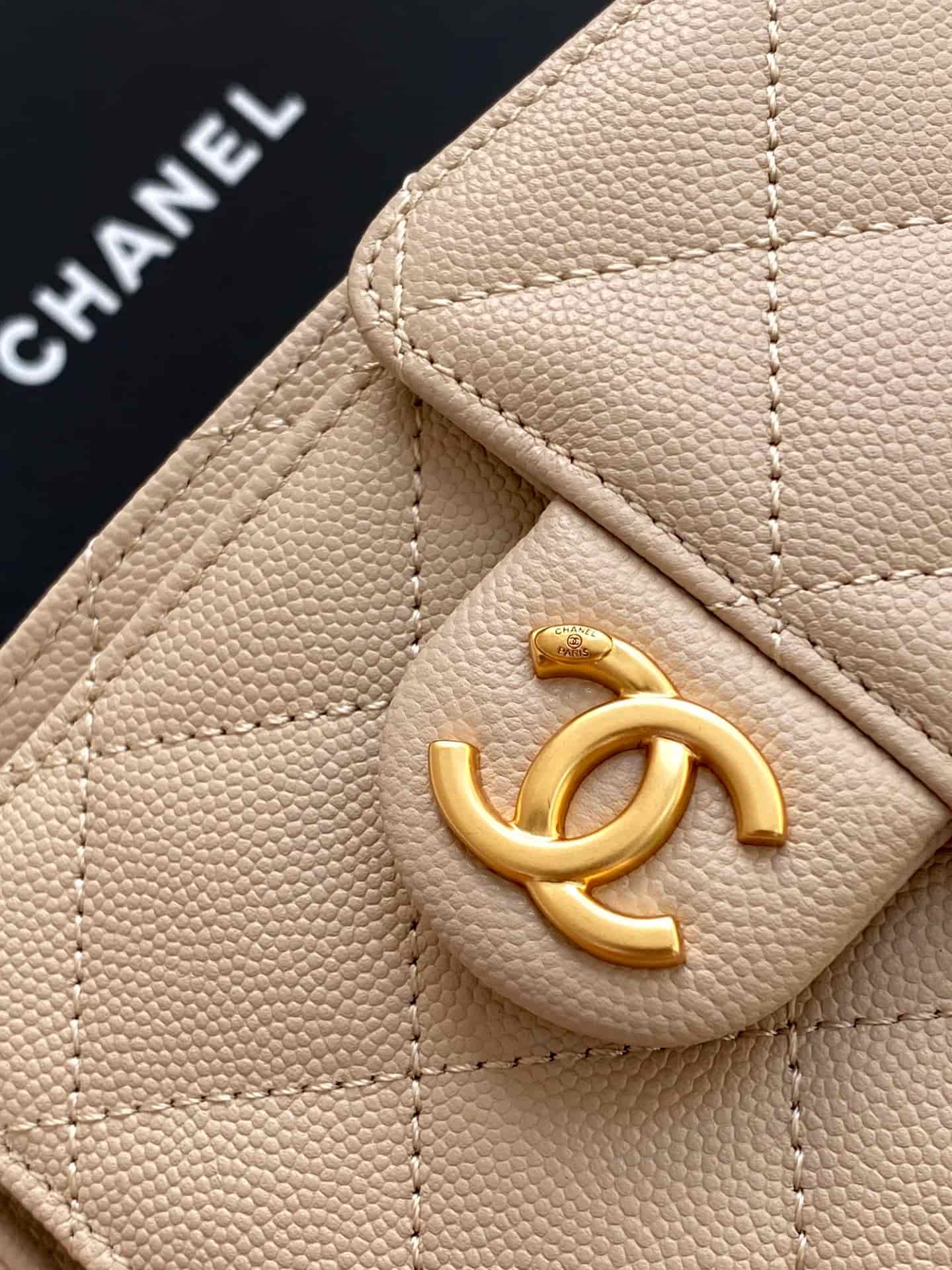 Chanel 25 Hobo Handbag Grained calfskin LB16670 (5)