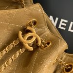 Chanel 25 Hobo Handbag Grained calfskin LB16980 (6)