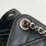 Chanel 25 Hobo Handbag Grained calfskin LB22878 (4)