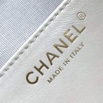 Chanel 25 Hobo Handbag Shiny calfskin LB15831 (2)