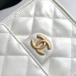 Chanel 25 Hobo Handbag Shiny calfskin LB15831 (5)