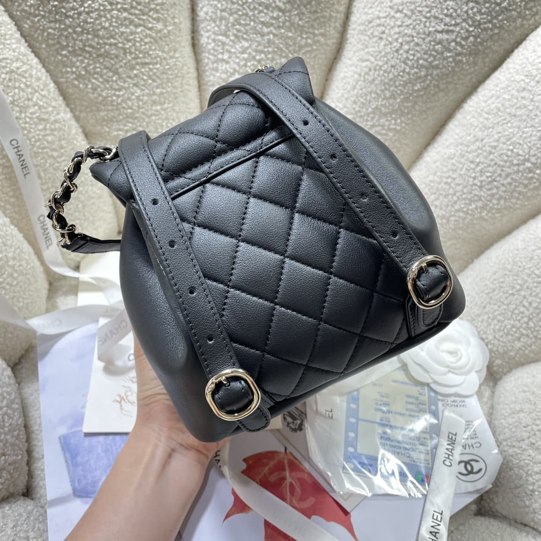Chanel BACKPACK Calfskin LB1257 (2)