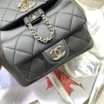 Chanel BACKPACK Calfskin LB1257 (4)