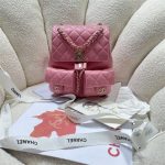 Chanel BACKPACK Calfskin LB14898 (1)