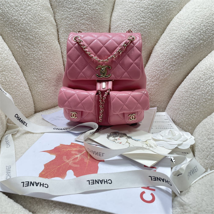 Chanel BACKPACK Calfskin LB14898 (1)