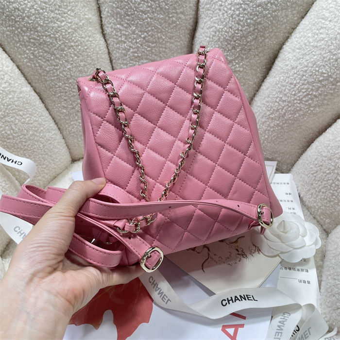 Chanel BACKPACK Calfskin LB14898 (3)