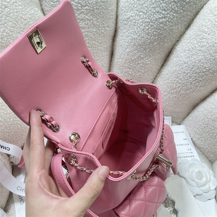 Chanel BACKPACK Calfskin LB14898 (6)