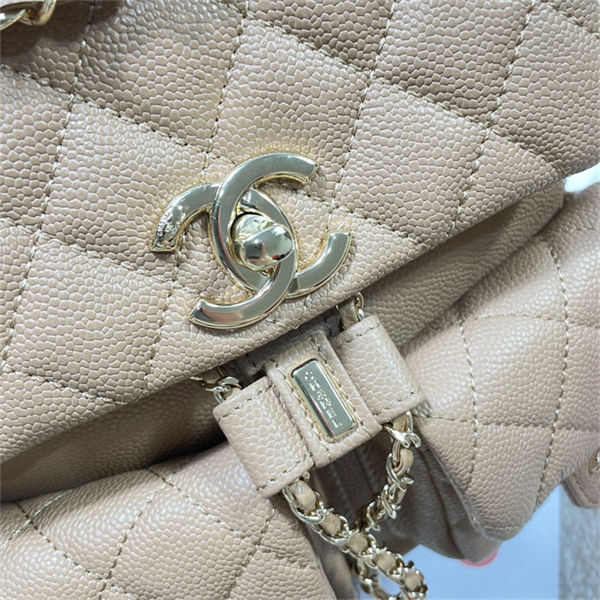 Chanel BACKPACK Grained Shiny Calfskin LB4114 (6)