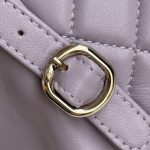 Chanel BACKPACK Lambskin LB1248 (3)