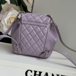 Chanel BACKPACK Lambskin LB1248 (5)