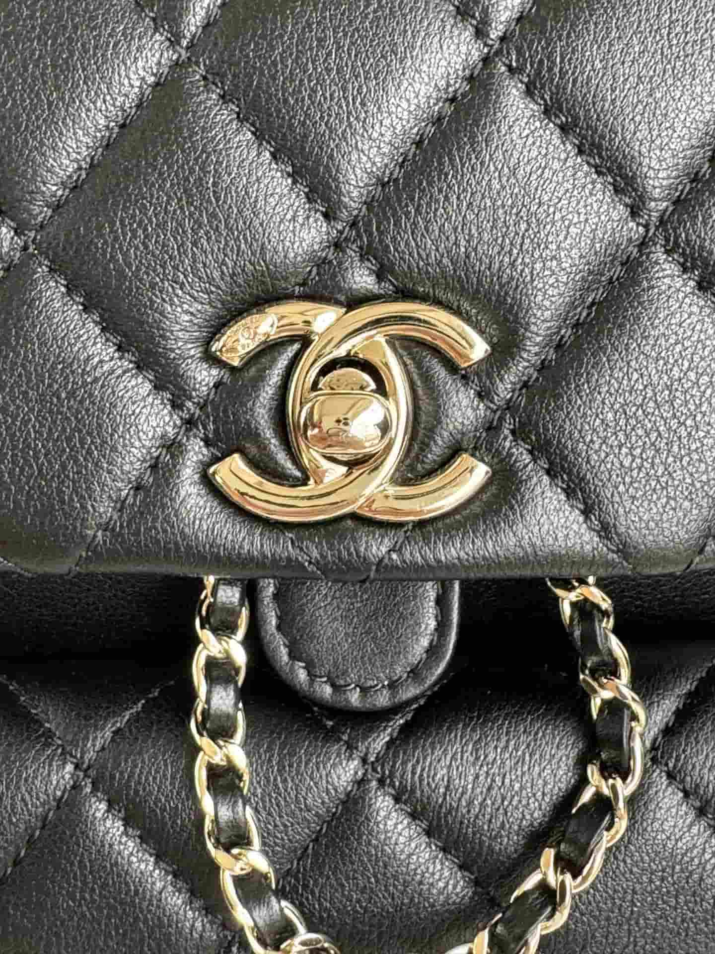 Chanel BACKPACK Lambskin LB1250 (2)
