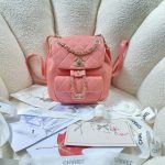 Chanel BACKPACK Lambskin LB1256 (1)