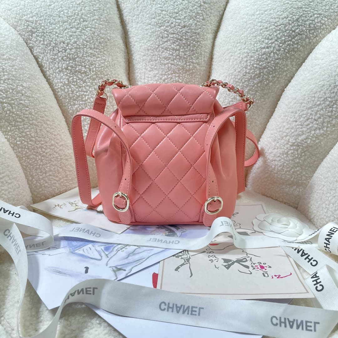 Chanel BACKPACK Lambskin LB1256 (5)