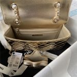 Chanel BACKPACK Mirror Metallic Calfskin LB12635 (6)