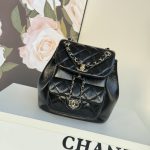 Chanel BACKPACK Shiny Calfskin LB1258 (1)
