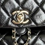 Chanel BACKPACK Shiny Calfskin LB1258 (3)