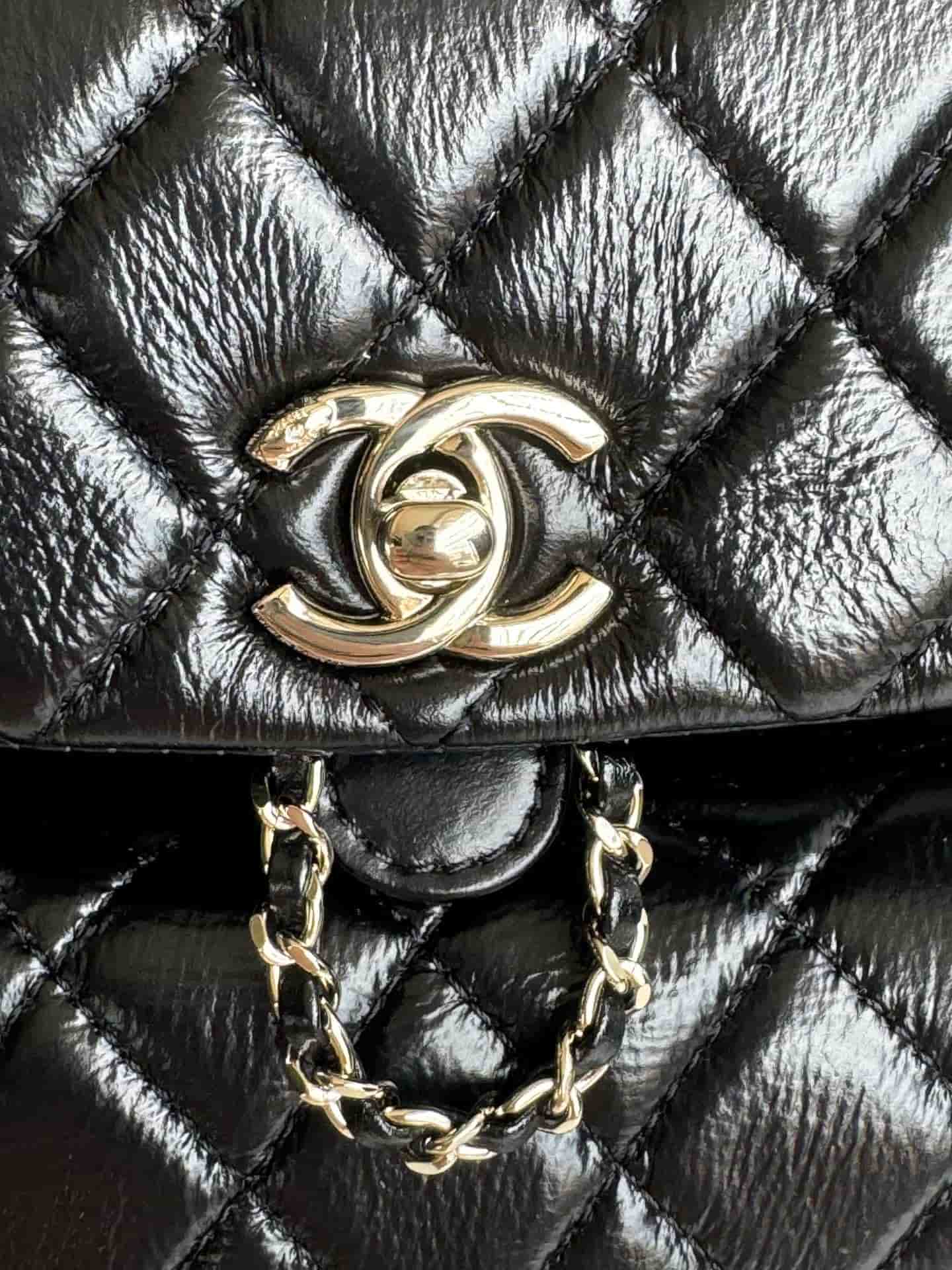 Chanel BACKPACK Shiny Calfskin LB1258 (3)