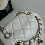 Chanel BACKPACK Shiny Calfskin LB1259 (2)