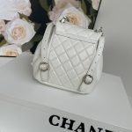 Chanel BACKPACK Shiny Calfskin LB1259 (5)
