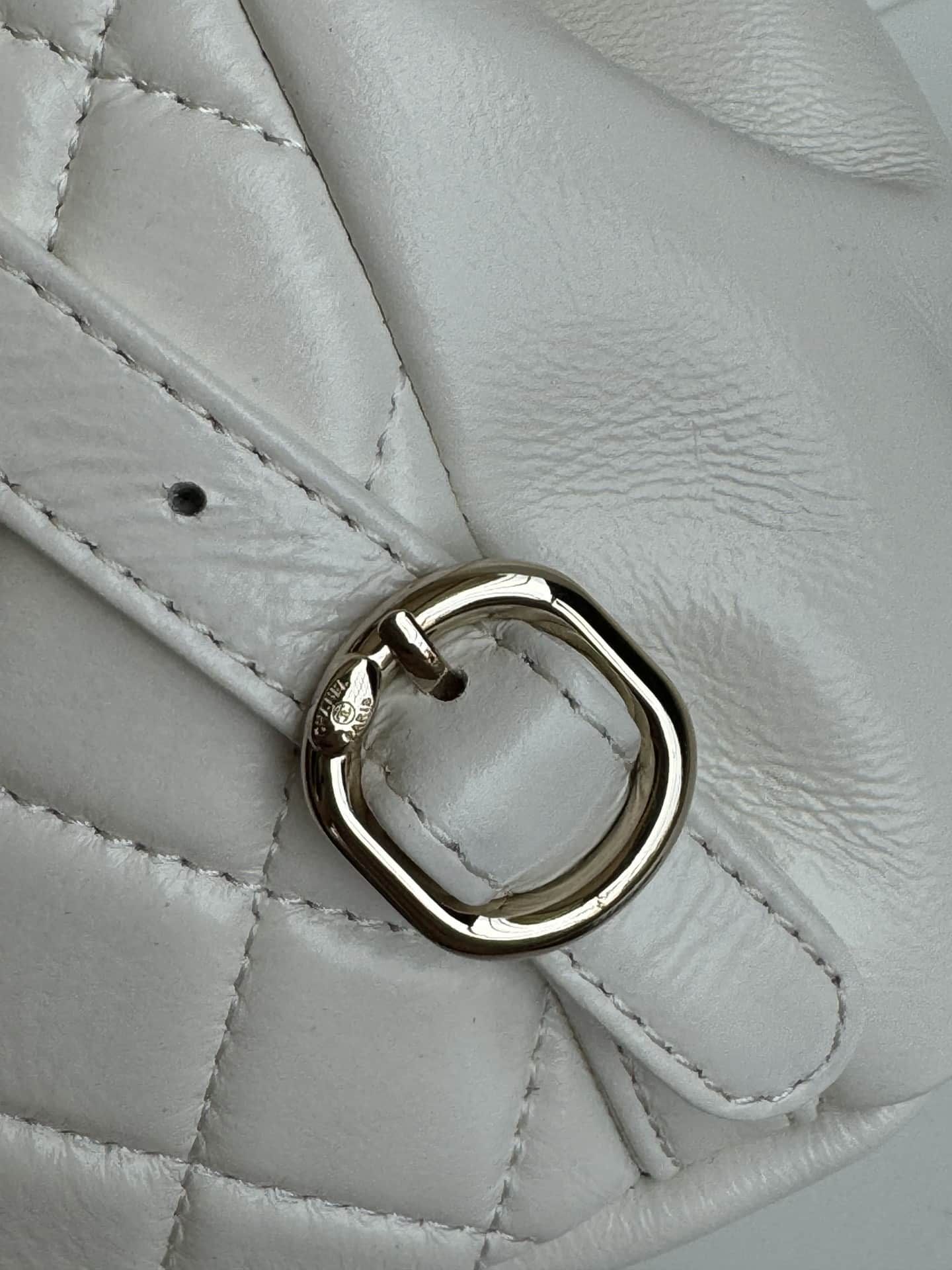 Chanel BACKPACK Shiny Calfskin LB1259 (6)