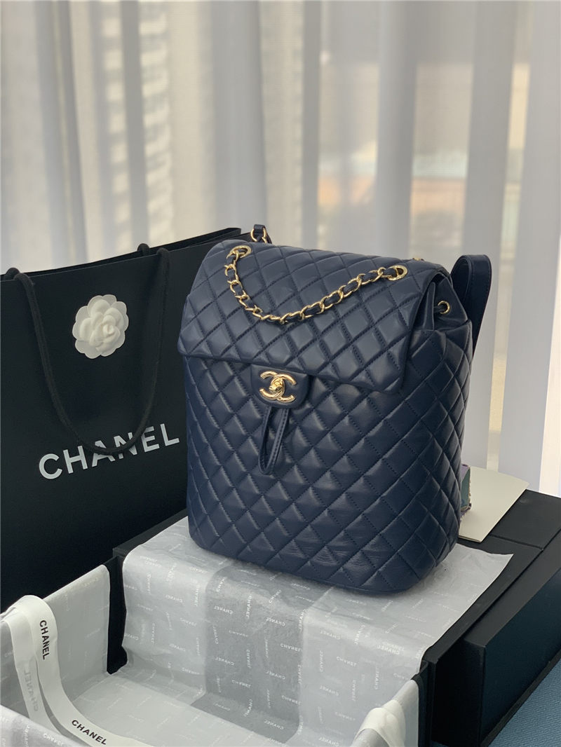 Chanel BACKPACK Shiny Calfskin LB6695 (1)