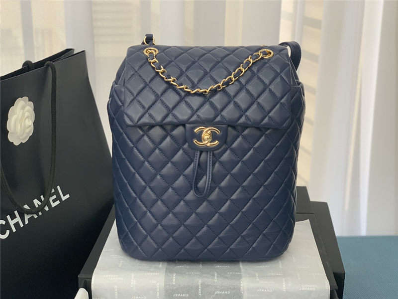 Chanel BACKPACK Shiny Calfskin LB6695 (2)