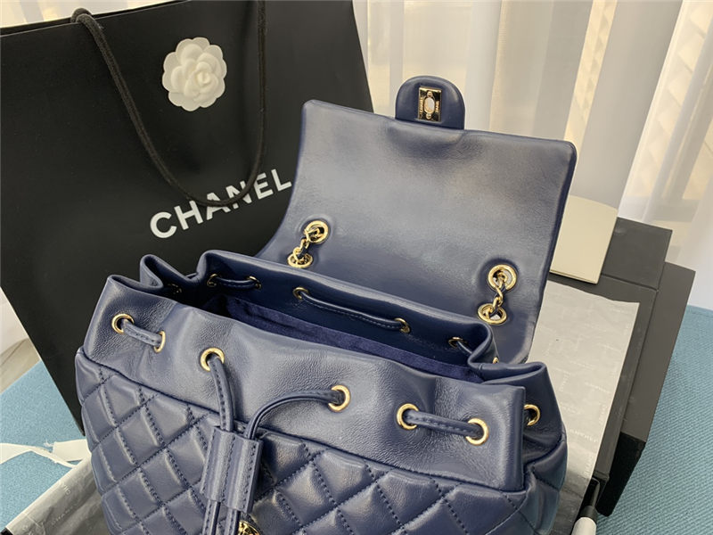 Chanel BACKPACK Shiny Calfskin LB6695 (5)