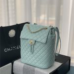 Chanel BACKPACK Shiny Calfskin LB8484 (1)