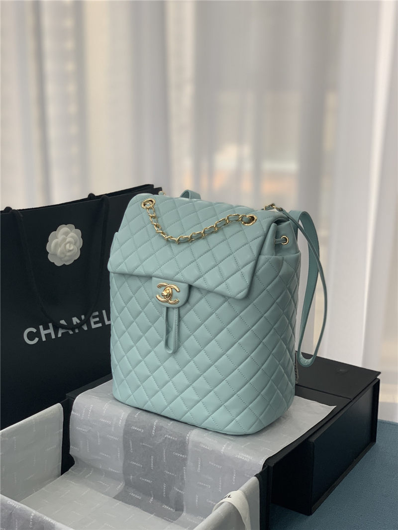 Chanel BACKPACK Shiny Calfskin LB8484 (1)