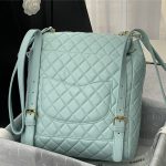 Chanel BACKPACK Shiny Calfskin LB8484 (2)