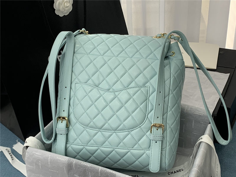 Chanel BACKPACK Shiny Calfskin LB8484 (2)