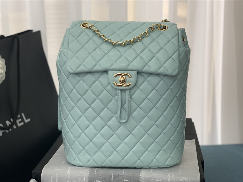 Chanel BACKPACK Shiny Calfskin LB8484 (3)