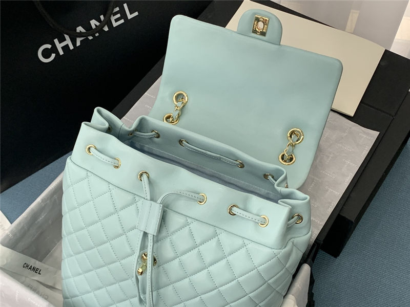 Chanel BACKPACK Shiny Calfskin LB8484 (4)