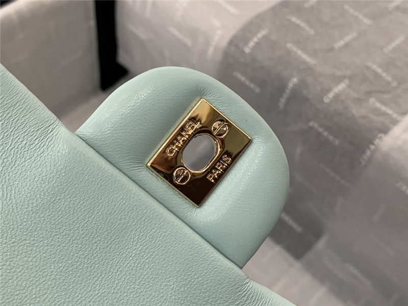 Chanel BACKPACK Shiny Calfskin LB8484 (6)