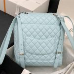 Chanel BACKPACK Shiny Calfskin LB8685 (2)