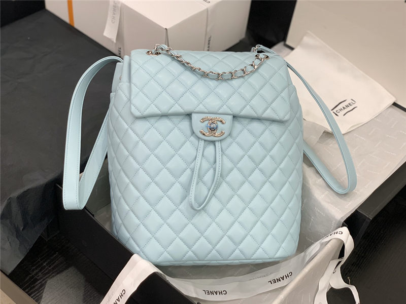 Chanel BACKPACK Shiny Calfskin LB8685 (4)