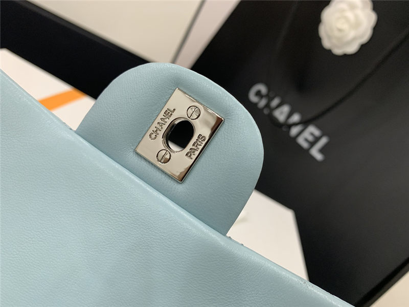 Chanel BACKPACK Shiny Calfskin LB8685 (6)