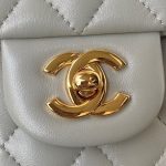 Chanel CLASSIC HANDBAG Lambskin LB2120 (2)