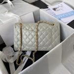 Chanel CLASSIC HANDBAG Lambskin LB2120 (4)