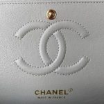 Chanel CLASSIC HANDBAG Lambskin LB2120 (6)
