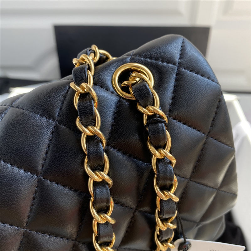 Chanel CLASSIC HANDBAG Lambskin LB3478 (5)