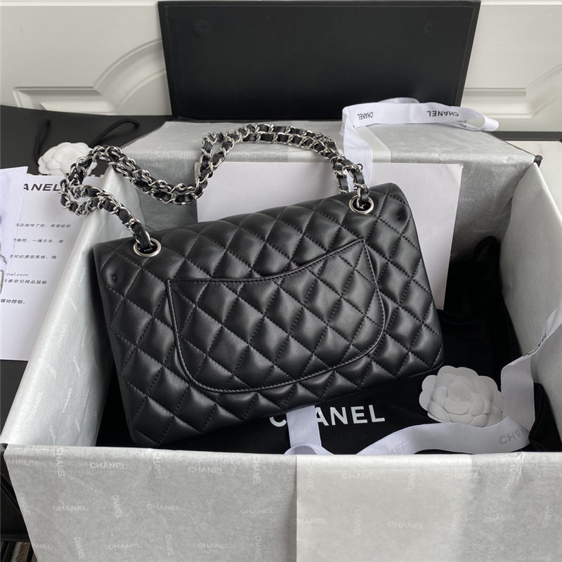 Chanel CLASSIC HANDBAG Lambskin LB3482 (2)