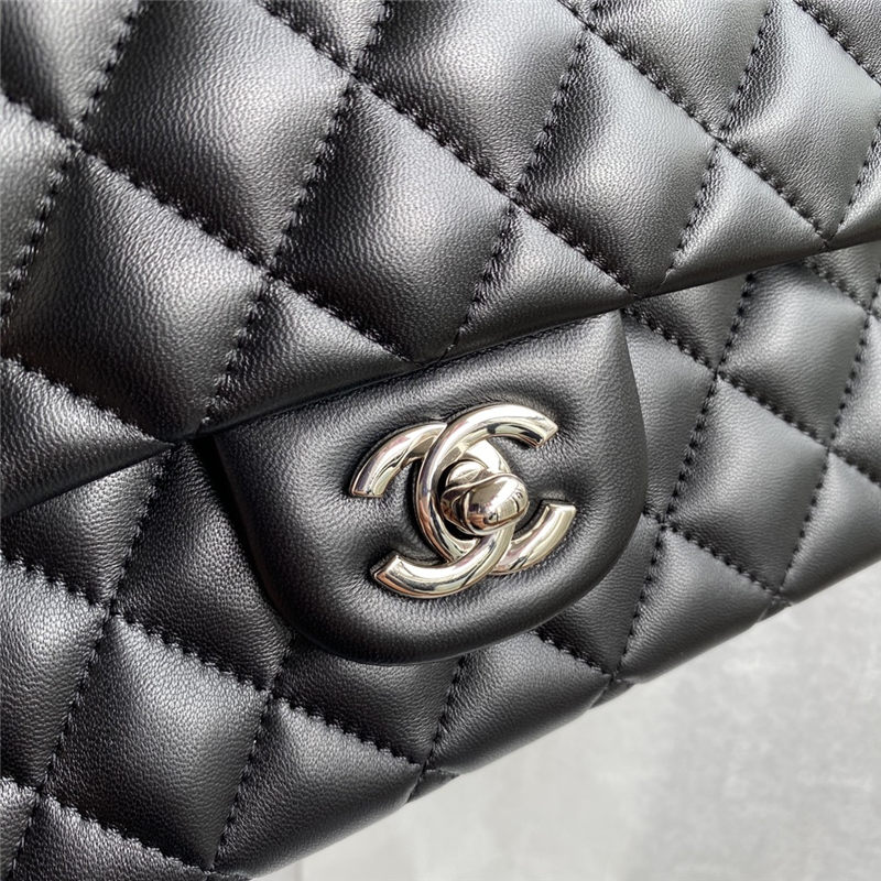 Chanel CLASSIC HANDBAG Lambskin LB3482 (5)