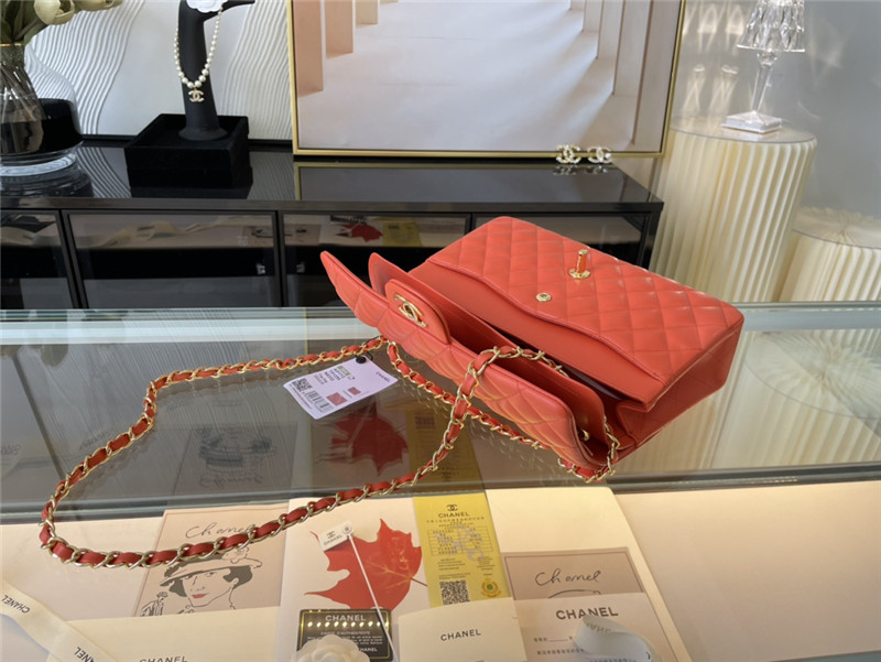 Chanel CLASSIC HANDBAG Lambskin LB7639 (6)