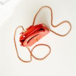 Chanel CLUTCH Shiny Aged Calfskin LB14865 (2)