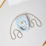 Chanel CLUTCH Shiny Aged Calfskin LB14980 (3)