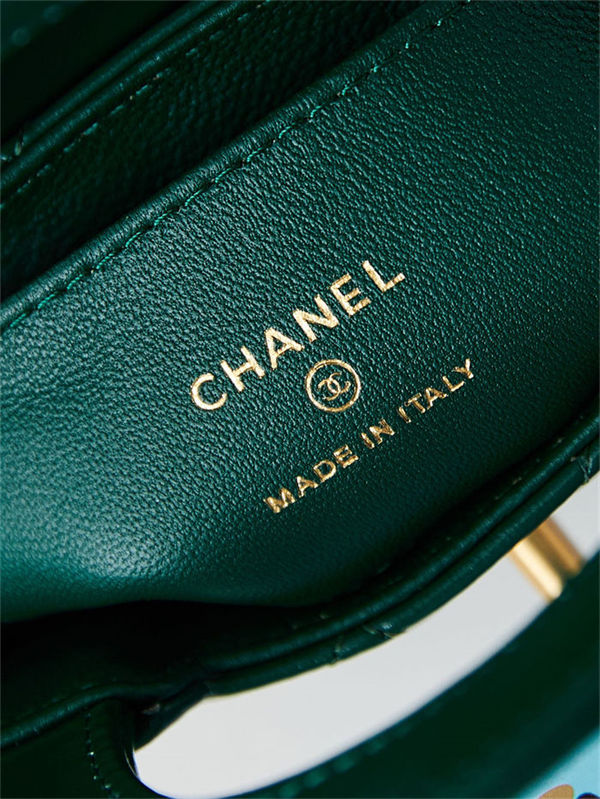 Chanel CLUTCH Shiny Aged Calfskin LB14981 (5)