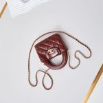 Chanel CLUTCH Shiny Aged Calfskin LB14982 (3)